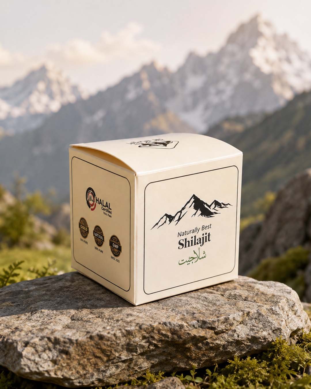 Shilajit Branding & Packaging Design